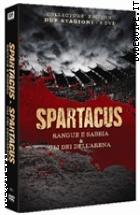 Spartacus - Sangue E Sabbia & Gli Dei Dell'arena (8 Dvd)