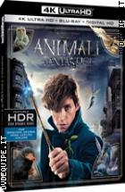 Animali Fantastici E Dove Trovarli ( 4K Ultra HD + Blu - Ray Disc )