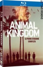 Animal Kingdom - Stagione 1 ( 2 Blu - Ray Disc )