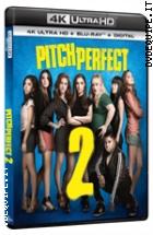 Pitch Perfect 2 (4K Ultra HD + Blu-Ray Disc)