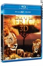 Amazing Africa 3D ( Blu - Ray 3D + Blu - Ray Disc )