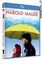 Harold E Maude ( Blu - Ray Disc )