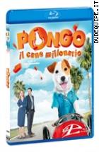 Pongo Il Cane Milionario ( Blu - Ray Disc )