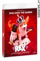 Rex - Un Cucciolo A Palazzo ( Blu - Ray Disc )