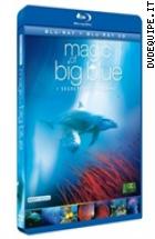Magic Of The Big Blue ( Blu - Ray 3D + Blu - Ray Disc)