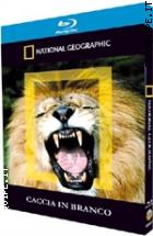 Caccia In Branco ( Blu - Ray Disc + Booklet) ( National Geographic)