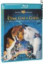Come Cani & Gatti ( Blu - Ray Disc )