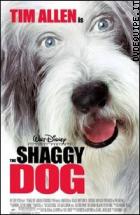Shaggy Dog - Pap Che Abbaia Non Morde