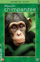 Chimpanzee (DisneyNature)