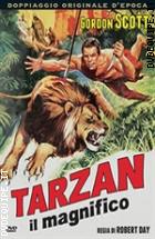 Tarzan Il Magnifico