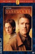Everwood - Stagione 01 ( 6 Dvd)
