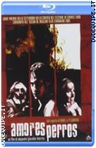 Amores Perros ( Blu - Ray Disc )