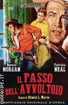 Il Passo Dell'avvoltoio (Western Classic Collection)