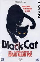 Black Cat