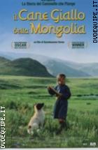 Il Cane Giallo Della Mongolia