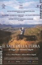 Il Sale Della Terra