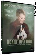 Heart Of A Dog