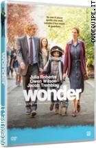 Wonder