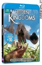 Hidden Kingdoms - Micromondi (BBC Earth) ( Blu - Ray Disc )