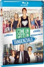 Come Un Gatto In Tangenziale ( Blu - Ray Disc )