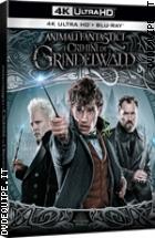 Animali Fantastici - I Crimini Di Grindelwald ( 4K Ultra HD + Blu - Ray Disc )
