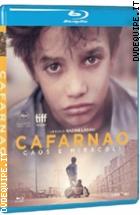 Cafarnao - Caos E Miracoli ( Blu - Ray Disc )
