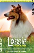 Lassie Torna A Casa