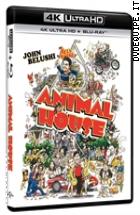 Animal House ( 4K Ultra HD + Blu - Ray Disc )