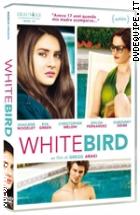 White Bird