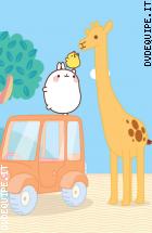 Molang - Vol. 3 - Il Safari