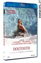 Dogtooth ( Blu - Ray Disc )