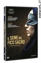 Il Seme Del Fico Sacro