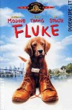 Fluke