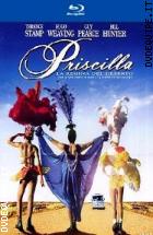 Priscilla - La Regina Del Deserto ( Blu - Ray Disc )