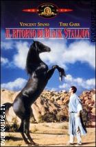 Il Ritorno Di Black Stallion