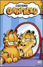 Ciao Sono Garfield