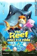 The Reef Amici Per Le Pinne