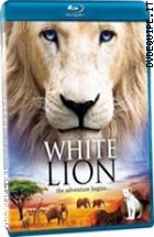 White Lion ( Blu - Ray Disc )