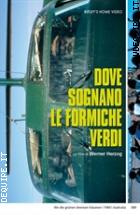 Dove Sognano Le Formiche Verdi (2 Dvd)