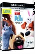 Pets - Vita Da Animali ( 4K Ultra HD + Blu-  Ray Disc )