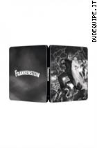 Frankenstein (1931) - Edizione Limitata ( Blu - Ray Disc - SteelBook )