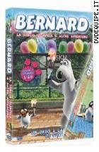Bernard - Stagione 2 Parte 1 - La Torcia Olimpica E Altre Avventure