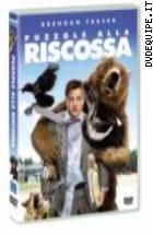 Puzzole Alla Riscossa