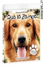 Qua La Zampa! ( Blu - Ray Disc )