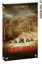 Operation Red Sea