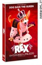 Rex - Un Cucciolo A Palazzo