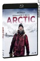 Arctic (Originals) ( Blu-  Ray Disc + Dvd )