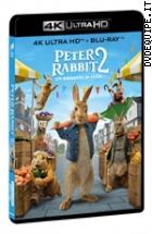 Peter Rabbit 2 - Un Birbante In Fuga ( 4K Ultra HD + Blu - Ray Disc )