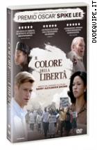 Il Colore Della Libert