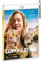 Il Lupo E Il Leone ( Blu - Ray Disc )